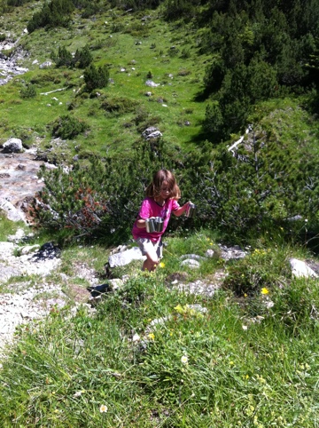 20110627-033311.jpg